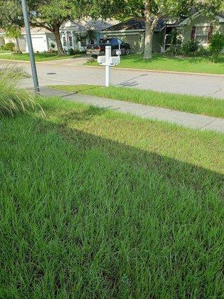 TruGreen Lawn Care