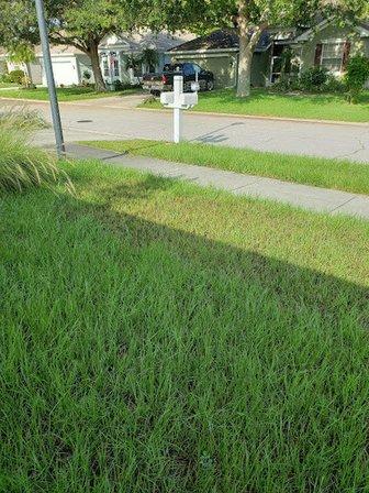 TruGreen Lawn Care