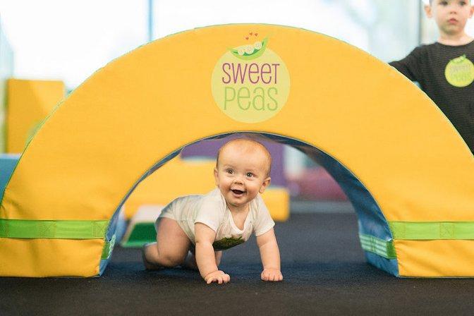 Sweet Peas Gymnastics at Watermelon Swim Brooksville