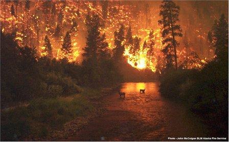 4th Element Fire & Safety, Inc