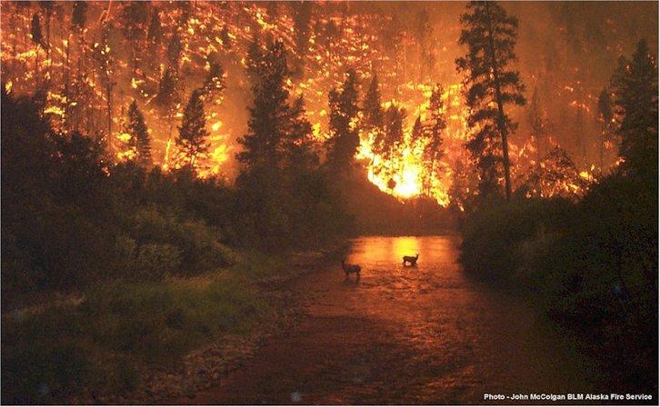 4th Element Fire & Safety, Inc