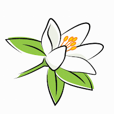 Orange Blossom Womens Group - Land O' Lakes