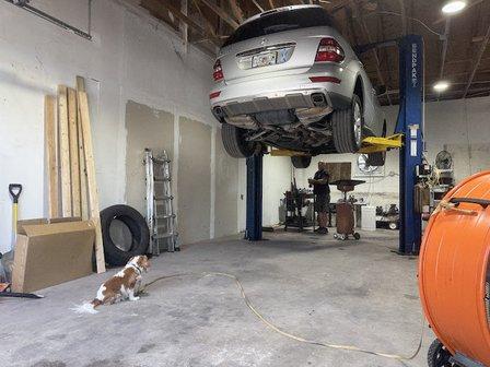 Reasonable Automotive