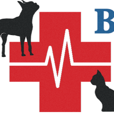 Bradenton Veterinary Emergency