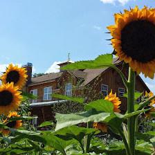 Sweetfields Farm