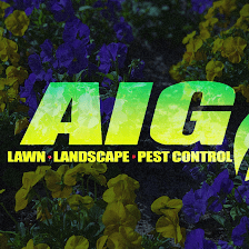 AIG