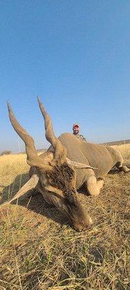 Discount African Hunts