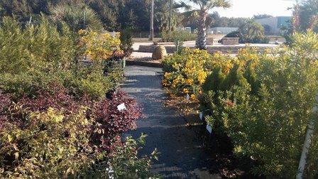 Sunshine Nursery
