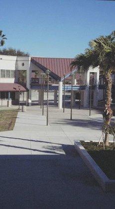 Palm Harbor University High School
