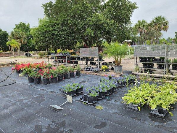 Nursery Landscape & Garden Center