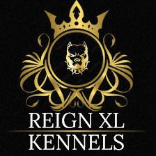 Reign XL Kennels