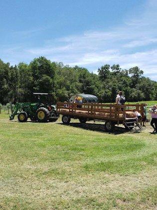 Sweetfields Farm