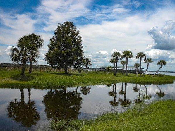 Kissimmee Chain of Lakes Area Wildlife Management Area - Drasdo