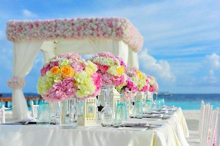 Tanja Coffee Mobile Notary Public & Wedding Officiant