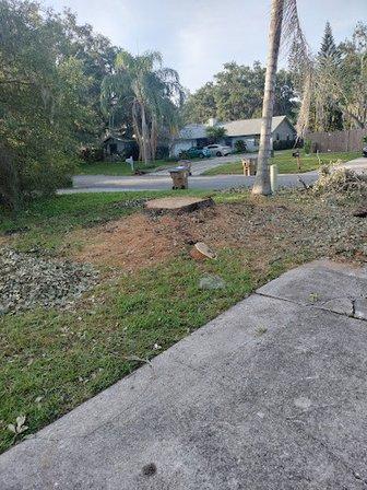SUN & RAIN LAWN services