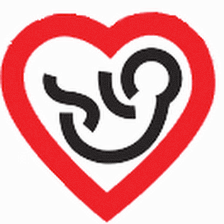 A Bond Of Love Adoption Agency Inc
