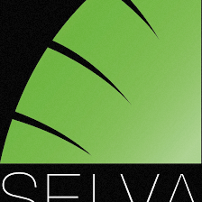 Selva Downtown Sarasota