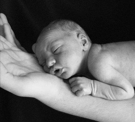 The Surrogacy Agency