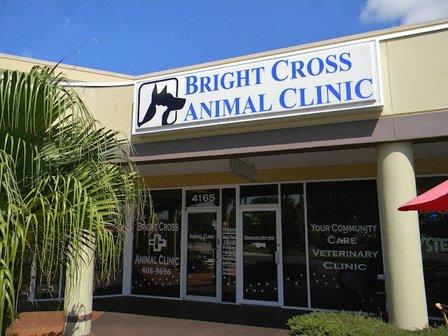 Bright Cross Animal Clinic