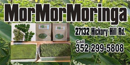 Mormormoringa LLC