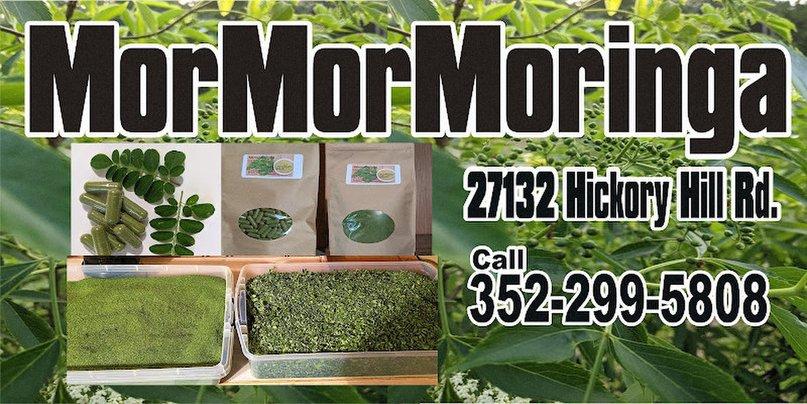 Mormormoringa LLC