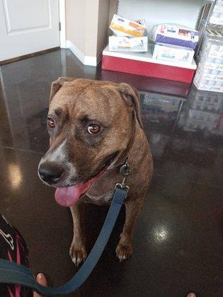 Hays Towne Veterinary Hospital