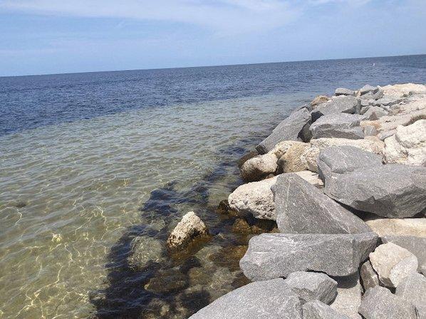 Fred Howard Park