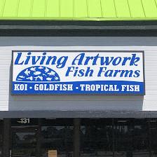 Fantastic Fish & Aquariums