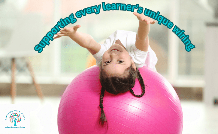 Learning On A Curve, LLC