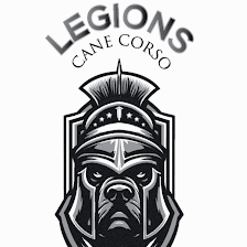 Legions Cane Corso