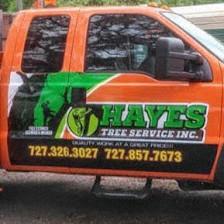 Hayes Tree Service Inc