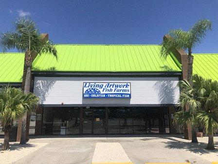 Fantastic Fish & Aquariums