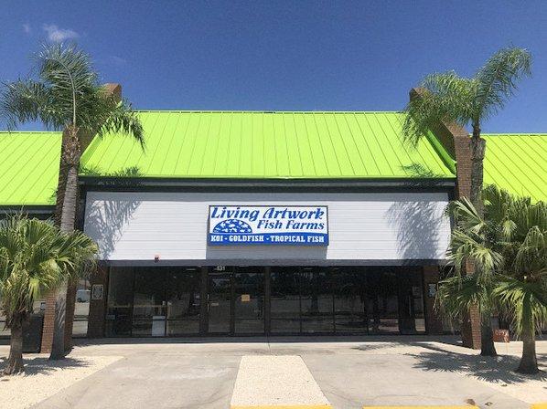 Fantastic Fish & Aquariums