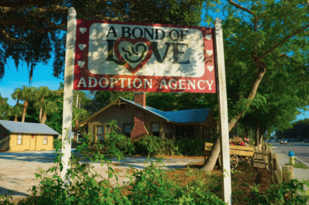 A Bond Of Love Adoption Agency Inc