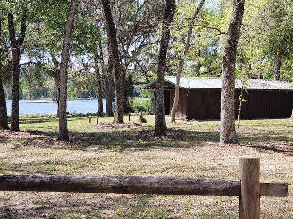 Withlacoochee State Forest