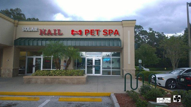 Lucky Dog Spa