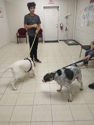 You've Got a Friend Low Cost Pet Clinic