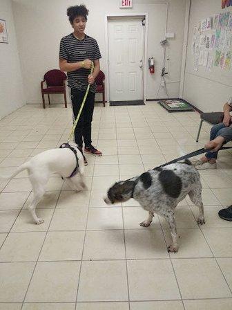 You've Got a Friend Low Cost Pet Clinic