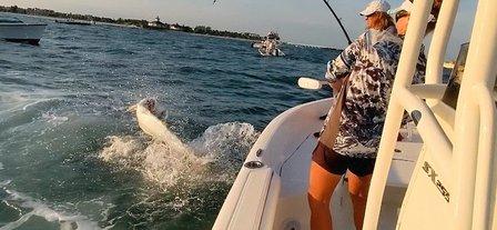 Florida Inshore Xtream Charters