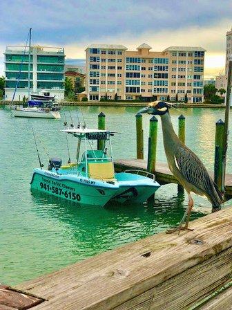 Sarasota Fishing Charters | Inshore and Nearshore Fishing