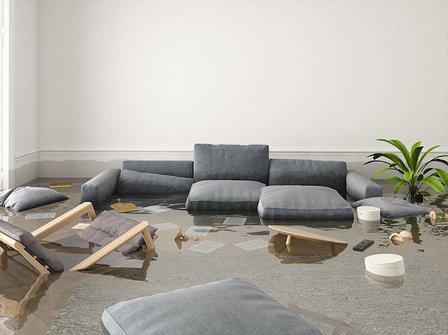 Insurance Reconstruction Services, LLC