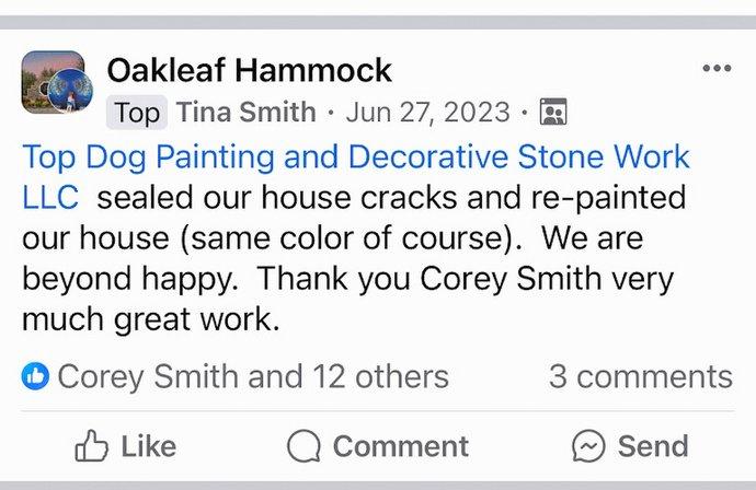 Top Dog Painting and Decorative Stonework
