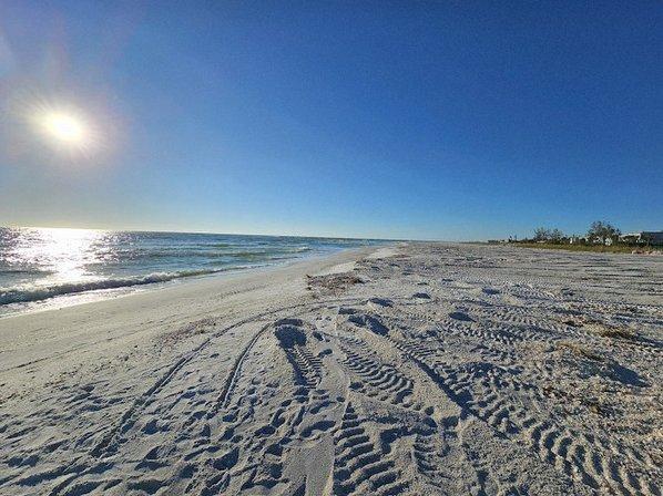Whitney Beach