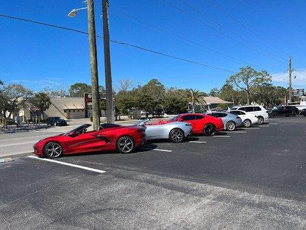 Suncoast Exotics