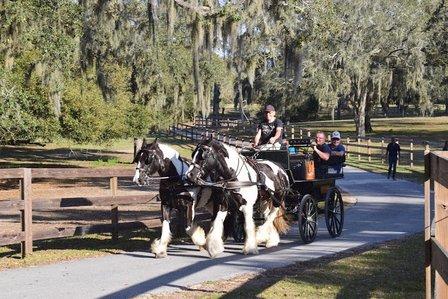 A-Z Horse Driving