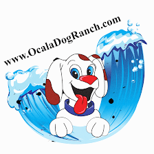 Ocala Dog Ranch