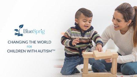 Florida Autism Center New Port Richey, a division of BlueSprig