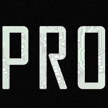 ProNet Solutions, Inc.