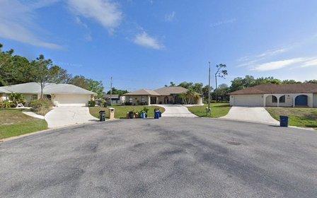 Sunny Day Transportation