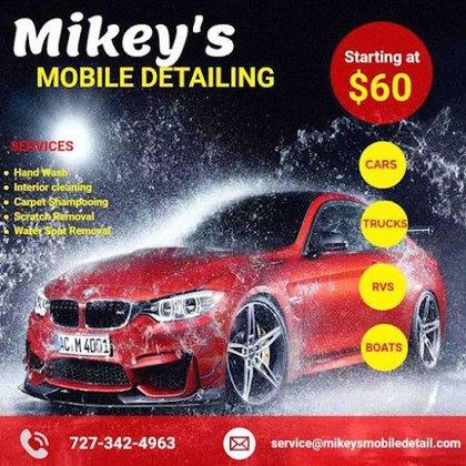 Mikey's Mobile Detail